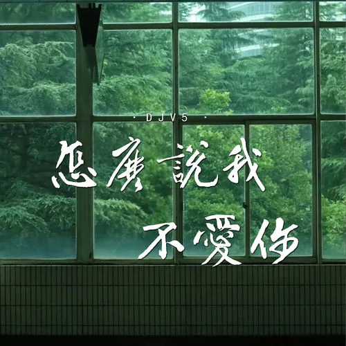 怎么說我不愛你 (卡點節(jié)奏版) (伴奏)-DJ V5