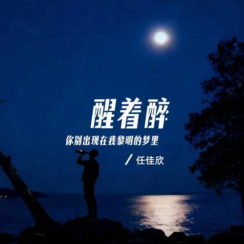 醒著醉（你別出現在我黎明的夢里）-任佳欣