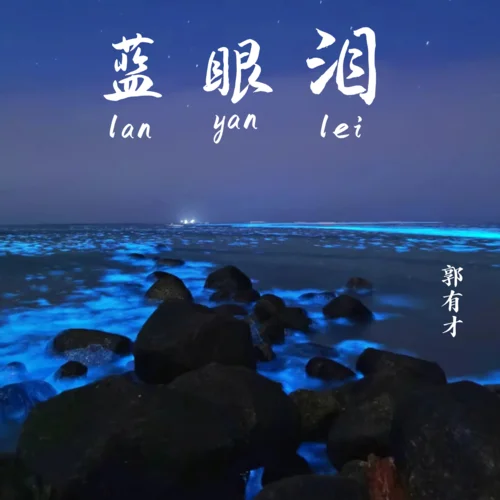 藍(lán)眼淚(郭有才版)-郭有才