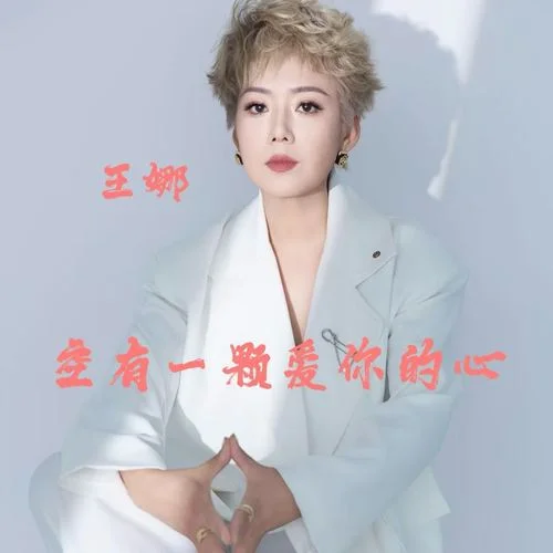 空有一顆愛你的心-王娜