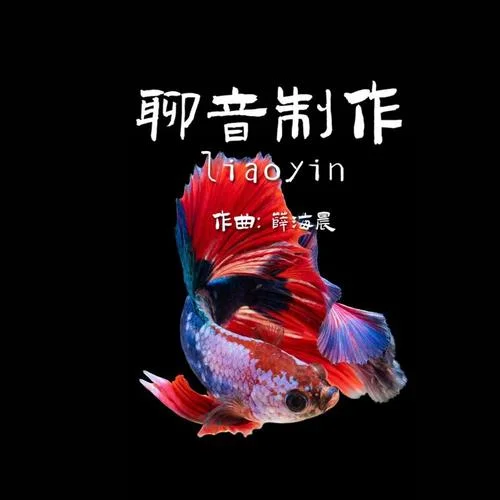 南方姑娘（笛子）-輕松音樂