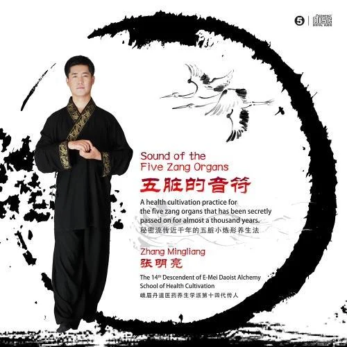 破繭·肝臟養(yǎng)生樂-吳辰越