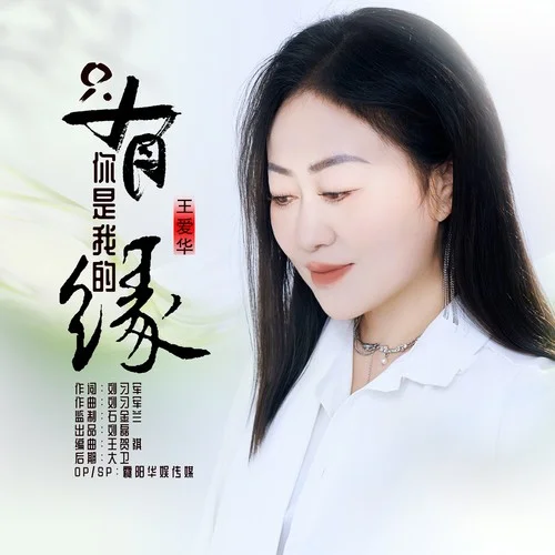 只有你是我的緣(DJ默涵版)-王愛(ài)華