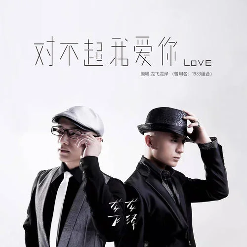 對(duì)不起，我愛你(原唱正版)-龍飛龍澤1983組合