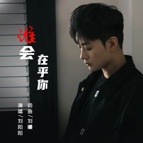 誰(shuí)會(huì)在乎你-劉陽(yáng)陽(yáng)