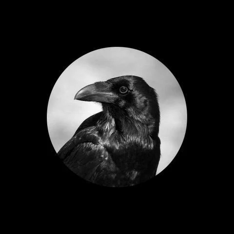 鴉雀無聲-Ice Paper