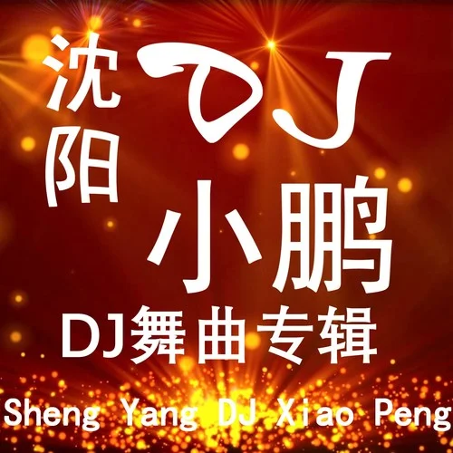 動感迪斯科（DJ 小鵬版）-DJ小鵬