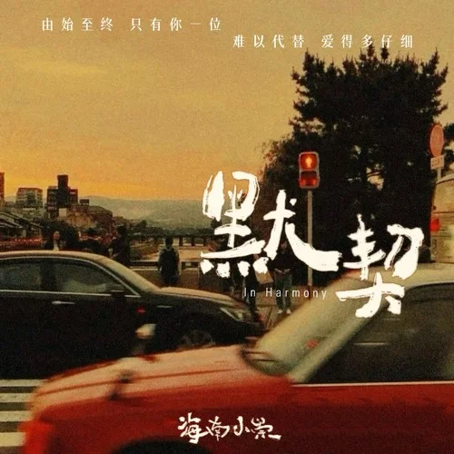 默契 (纯享版)-海南小崇