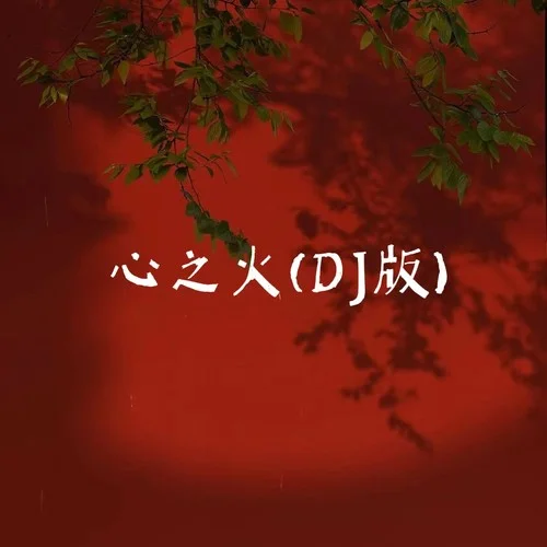 心之火(DJ版)-Dj小民