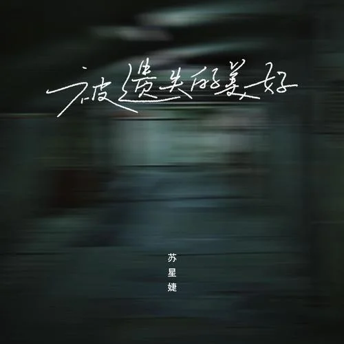 被遺失的美好（DJAh版）-蘇星婕