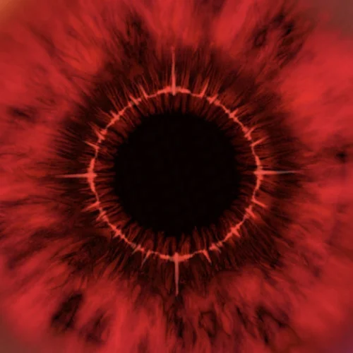 Scar Face (特别版)-KF8