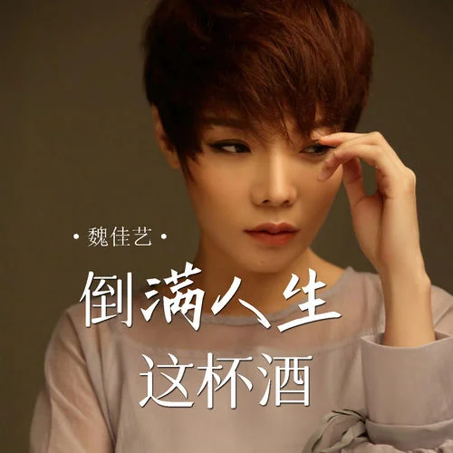 倒?jié)M人生這杯酒-魏佳藝