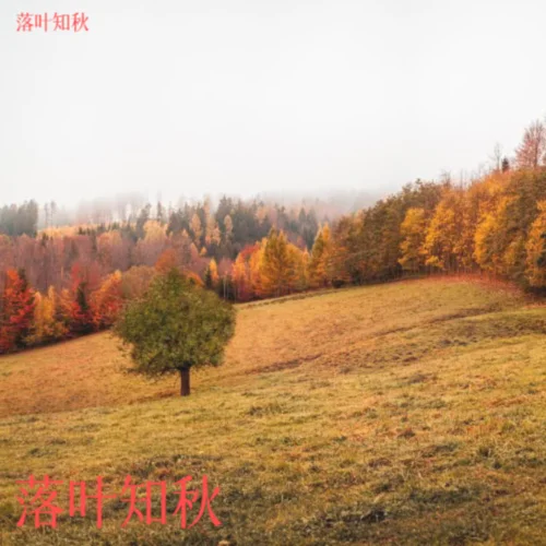 夢(mèng)里的我-落葉知秋