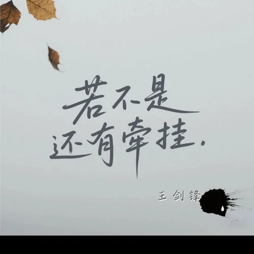 若不是還有牽掛-王劍鋒