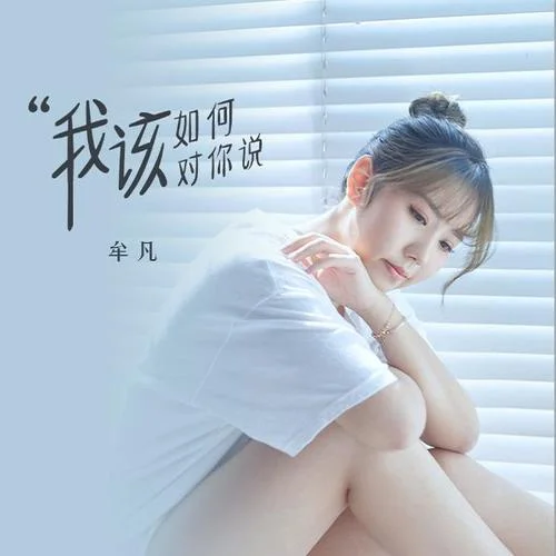 我該如何對(duì)你說(shuō)-牟凡