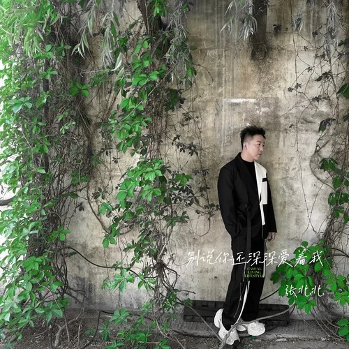 别说你还深深爱着我 (DJ九零版)-张北北