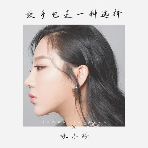 放手也是一種選擇(DJ散人版)-DJ散人&張冬玲