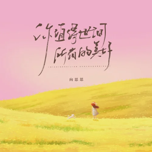 你值得世間所有的美好-向思思