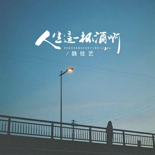 人間這一遭 (人生這一杯酒啊)-魏佳藝