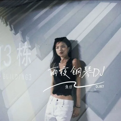 雨夜鋼琴 (抖音魚(yú)仔djr7版)-魚(yú)仔
