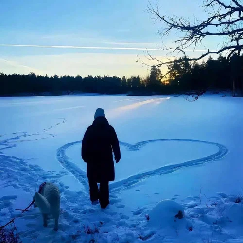 Person(0-ABCD沒有E