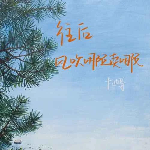 往后風(fēng)吹哪頁讀哪頁-卡迪哥