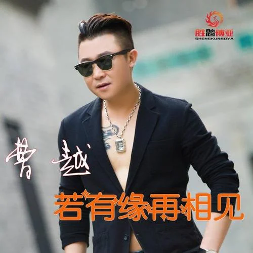 若有缘再相见-曹越