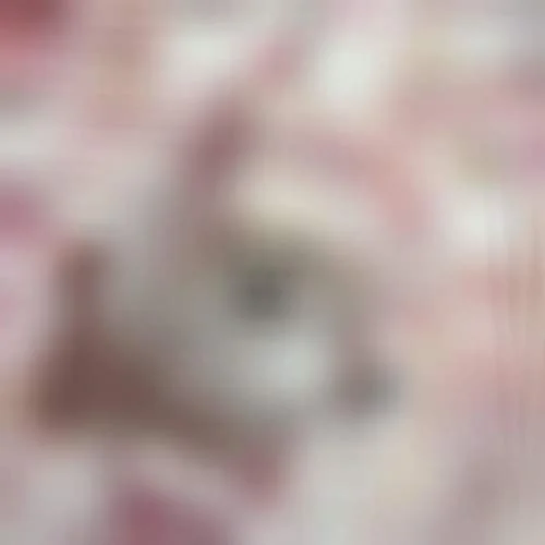 錢(qián)錢(qián)我來(lái)接你了喲-王野川