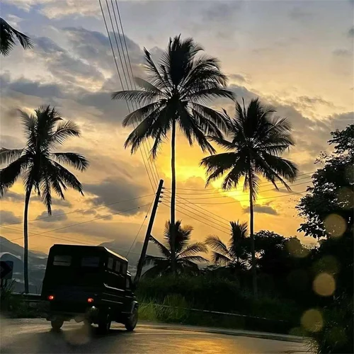 Fast Cars-一只傻M爷