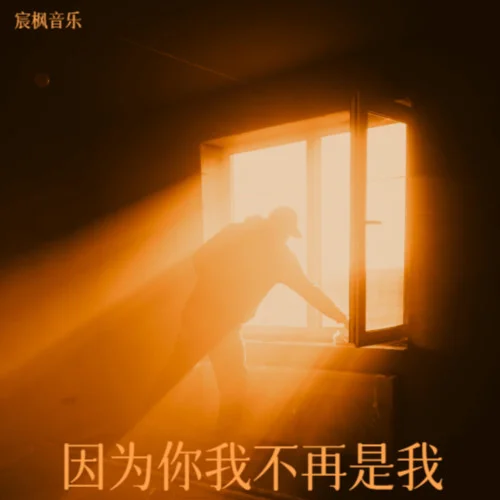 因为你我不再是我-宸枫音乐