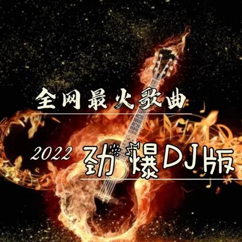 活著viva (DJ House版)-星辭99