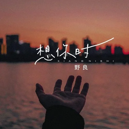 想你時-野良