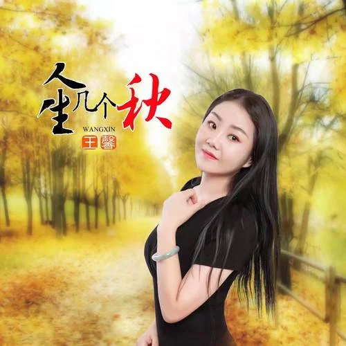 人生幾個(gè)秋(DJ默涵版)-王馨