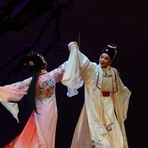 鈴 - 許云波唱腔 趙少卿 選段-潮劇