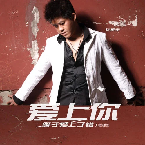 愛上你等于愛上了錯(DJ默涵版)-張振宇