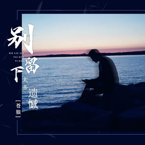 別留下太多遺憾-蒼狼隨緣