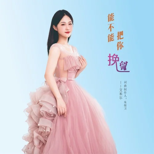 能不能把你挽留-艾米尔