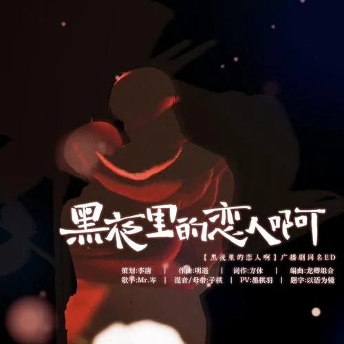 黑夜里的恋人啊-Mr.岑