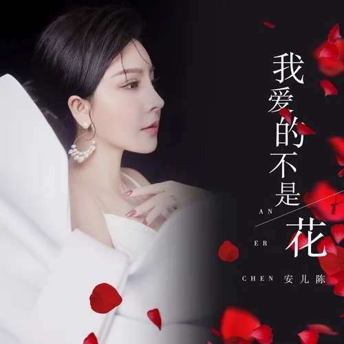 我愛的不是花（DJ月之歌版）-安兒陳
