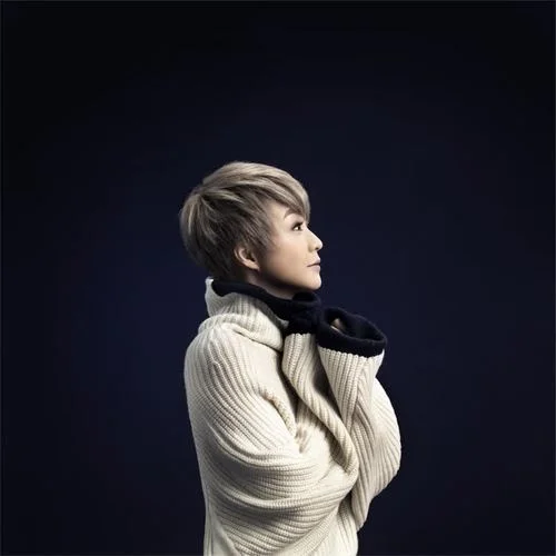 傻女(粵語DJ車載版)-陳慧嫻