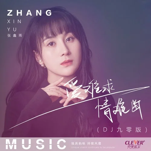 愛難求情難斷 (DJ九零版)-張鑫雨