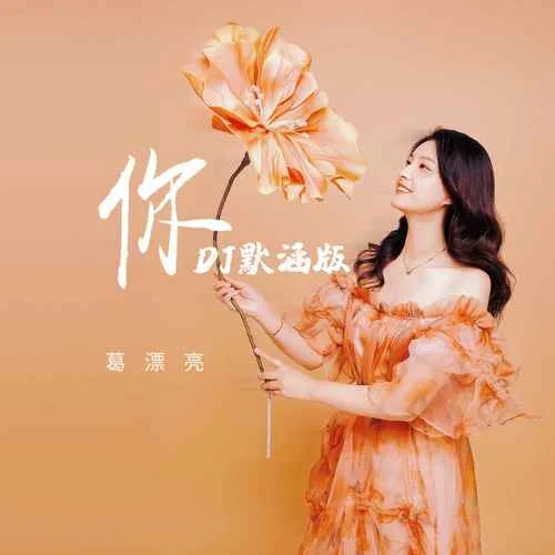 你(DJ)-葛漂亮