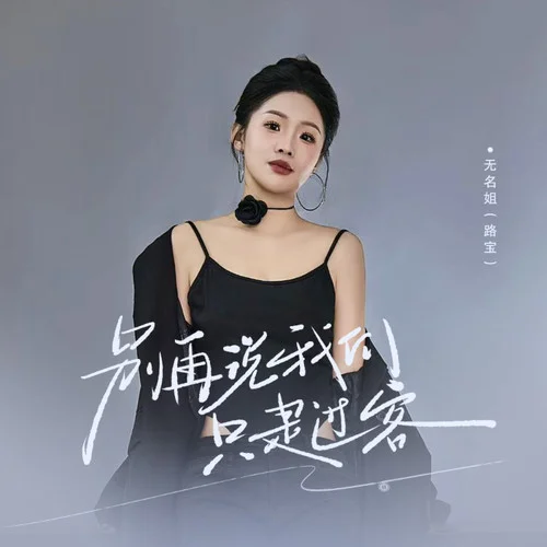 别再说我们只是过客-无名姐（路宝）