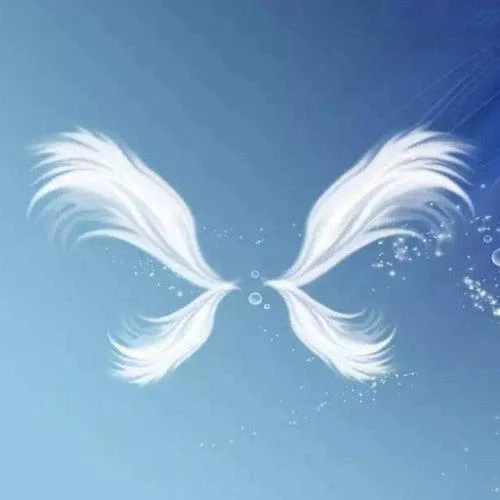 (吉他版 伴奏)-隱形的翅膀