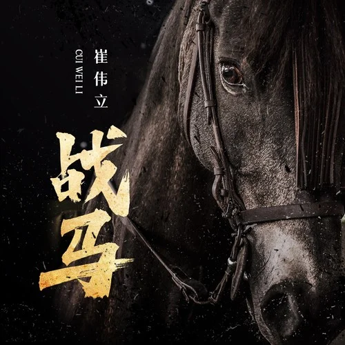 戰(zhàn)馬(DJ九零版)-崔偉立