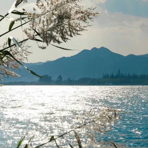 相逢總在夢境里-微微辣