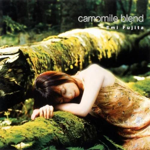 Home on the Range-藤田恵美