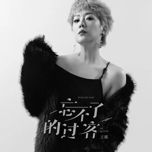 忘不了的過客-王娜