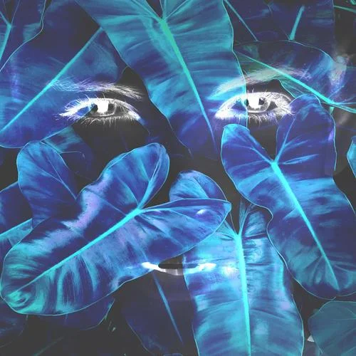 She\'s So Evil(feat. Cold Illumination)-Kayou.&Zaini&Cold Illumination