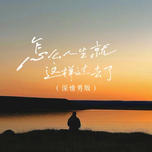 怎么人生就這樣過去了 (深情男版)-陳十七